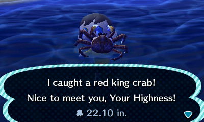 I caught a red king crab! Nice to meet you, Your Highness!