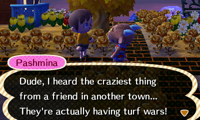 Pashmina: I heard the craziest thing from a friend... They're having turf wars!