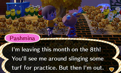 Pashmina: I'm leaving this month on the 8th.
