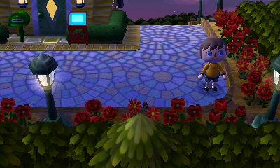 Red flowers in the Happy Homes Showcase.