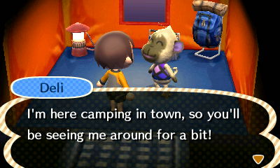 Deli: I'm here camping in town, so you'll be seeing me around for a bit!