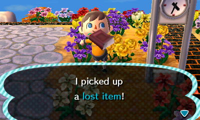 I picked up a lost item!