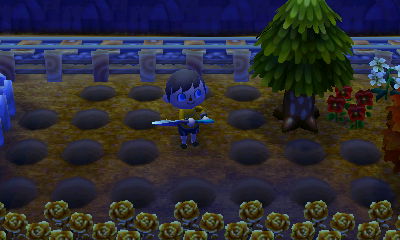 A bunch of holes on the ground after I dug up a bunch of flowers.