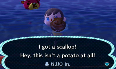I got a scallop! Hey, this isn't a potato at all!