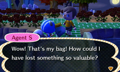 Agent S: Wow! That's my bag! How could I lose it?