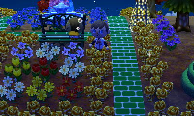 Molly napping on the bench.