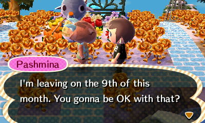 Pashmina: I'm leaving on the 9th. You OK with that?