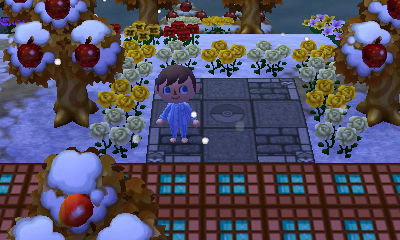 Pokemon battle ring in Crystal's New Leaf town.