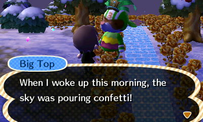 Big Top: When I woke up, the sky was pouring confetti!