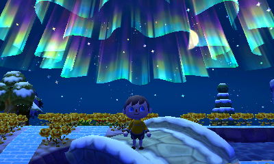 Northern lights above Forest.