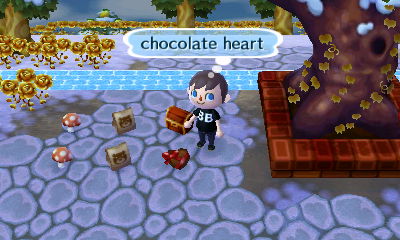 A chocolate heart and other goodies for my dream visitors.