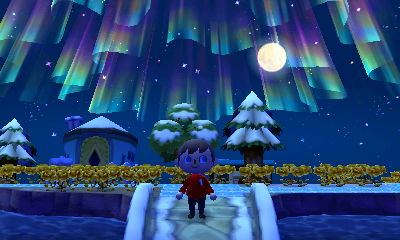 Northern lights above Forest.