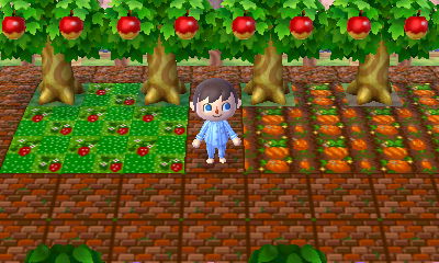 Vegetables growing in Farmland.