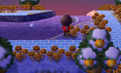 A snow ball got pushed into the river.