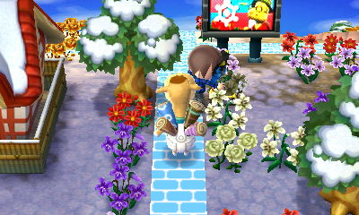 Making Saharah follow me around town.