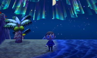 Northern lights on the beach.