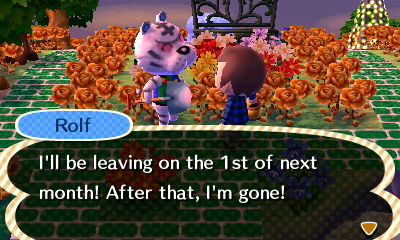 Rolf: I'll be leaving on the 1st of next month! After that, I'm gone!