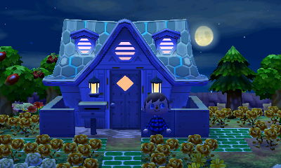 My house in the misty moonlight.