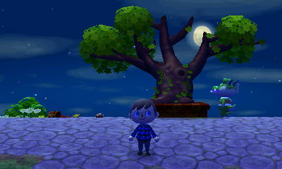 Town tree in late February.