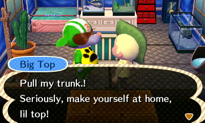 Big Top: Pull my trunk! Seriously, make yourself at home, lil top!