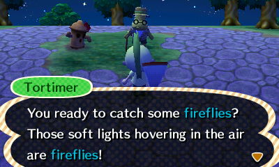 Tortimer: You ready to catch some fireflies? Those soft lights hovering in the air are fireflies!