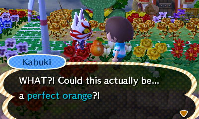 Kabuki: WHAT?! Could this actually be... a perfect orange?!