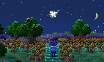 Wishing on a shooting star.