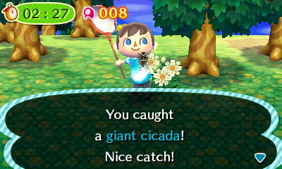 You caught a giant cicada!