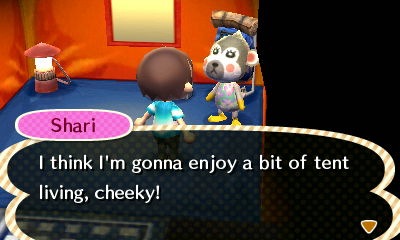 Shari: I think I'm gonna enjoy a bit of tent living, cheeky!