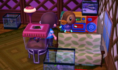 Molly takes her medicine.