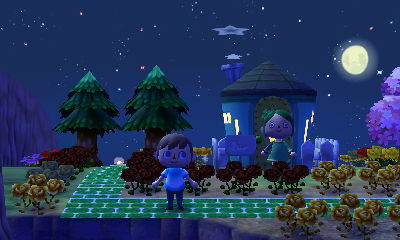 A clear night in Forest.