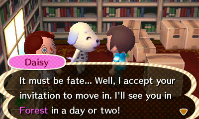 Daisy: It must be fate... Well, I accept your invitation to move in. I'll see you in Forest in a day or two!
