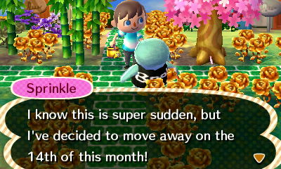 Sprinkle: I know this is super sudden, but I've decided to move away on the 14th of this month!