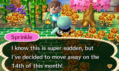 Sprinkle: I know this is super sudden, but I've decided to move away on the 14th of this month!