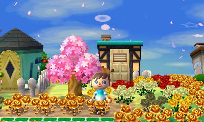 Daisy's house sandwiched between the homes of Aurora and Big Top.