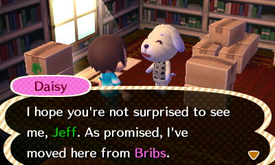 Daisy: I hope you're not surprised to see me, Jeff. As promised, I've moved here from Bribs.