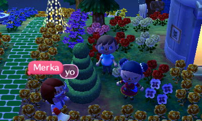 Merka, Queen, and my fake trees.