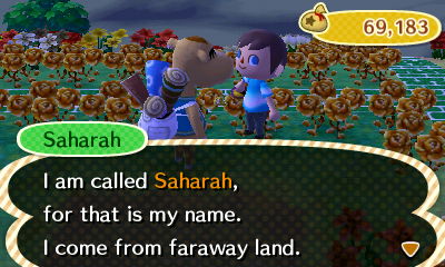 Saharah: I am called Saharah, for that is my name. I come from faraway land.