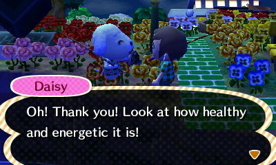 Daisy: Oh! Thank you! Look at how healthy and energetic it is!