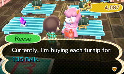 Reese: Currently, I'm buying each turnip for 135 bells.