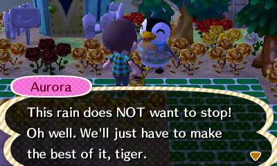Aurora: This rain does NOT want to stop! Oh well. We'll just have to make the best of it, tiger.