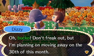 Dizzy: Don't freak out, but I'm planning on moving away on the 30th of this month.