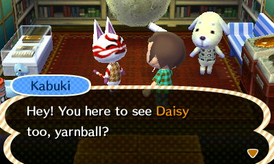 Kabuki: Hey! You here to see Daisy too, yarnball?