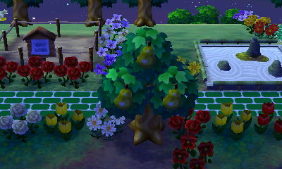 Cally's house plot near my zen garden.