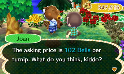 Joan: The asking price is 102 bells per turnip. What do you think, kiddo?