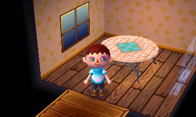 My new paw-print wall and pine table.