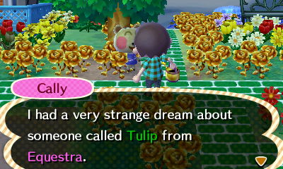 Cally: I had a very strange dream about someone called Tulip from Equestra.