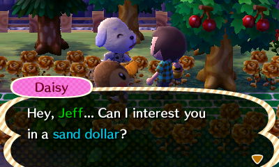 Daisy: Hey, Jeff... Can I interest you in a sand dollar?