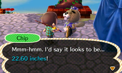 Chip: Mmm-hmm. I'd say it looks to be... 22.60 inches!