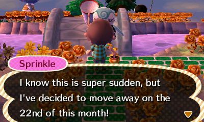 Sprinkle: I know this is super sudden, but I've decided to move away on the 22nd of this month!